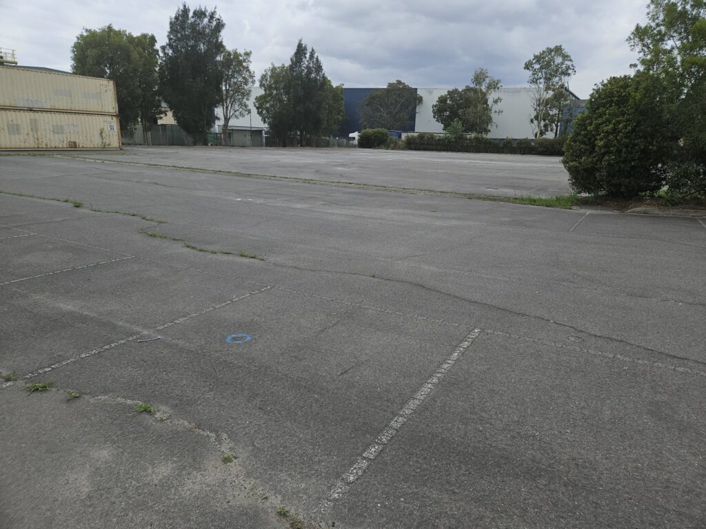 Selected Image